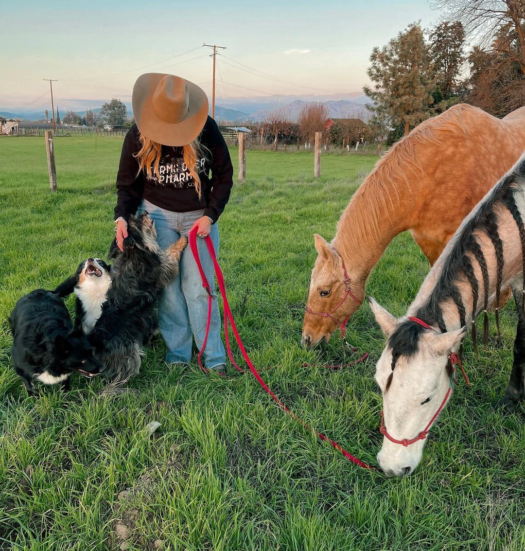 Farms Over Pharma Hoodie (Black)