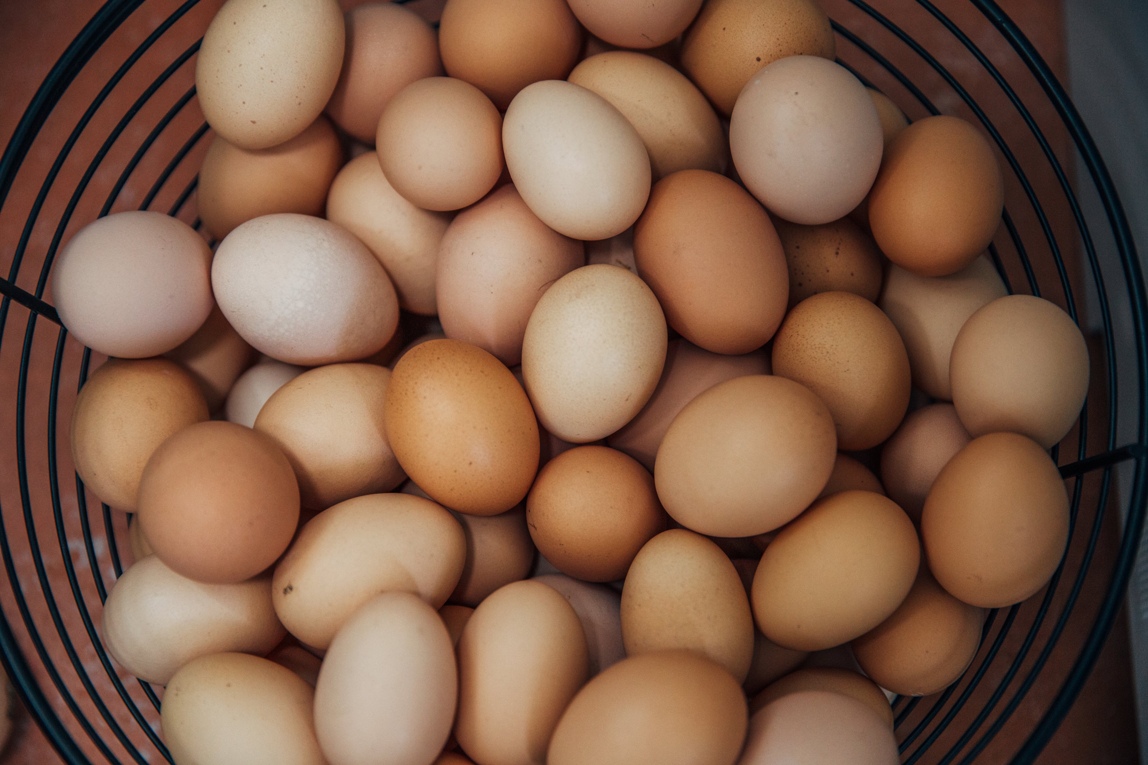 PRODUCE & EGGS