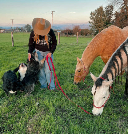 Farms Over Pharma Hoodie (Black)
