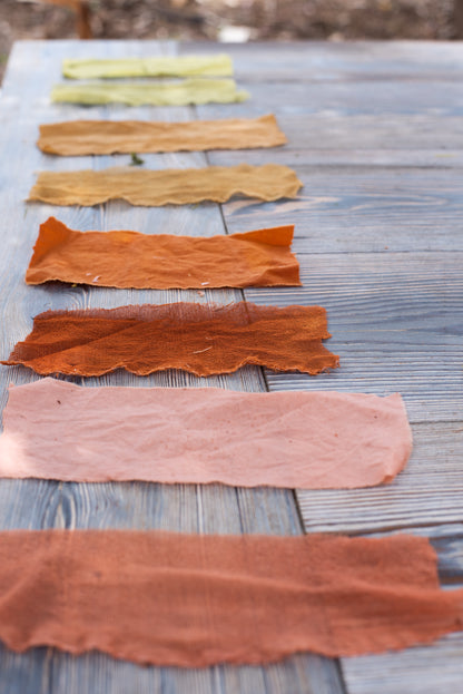 9/27/25 - Natural Dyeing Workshop