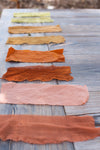 9/27/25 - Natural Dyeing Workshop