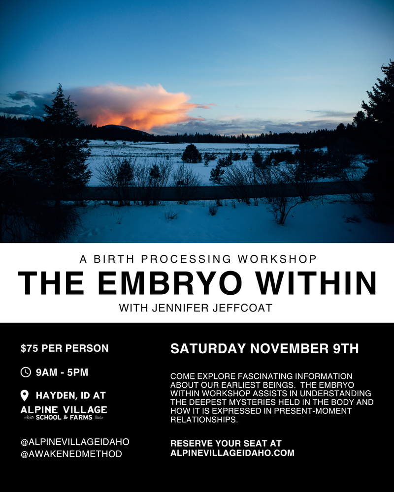 11/9/24 - THE EMBRYO WITHIN - A BIRTH PROCESSING WORKSHOP