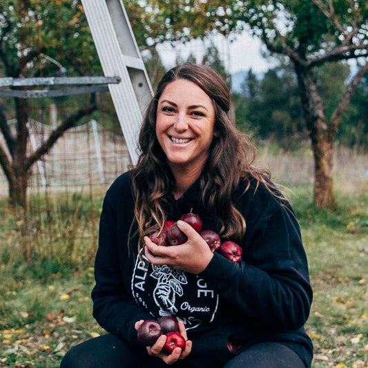 1 Hour Consulting with Kiely (Alpine Village School)