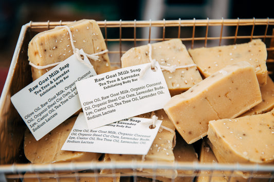 3/16/25 - FAMILY SOAP MAKING