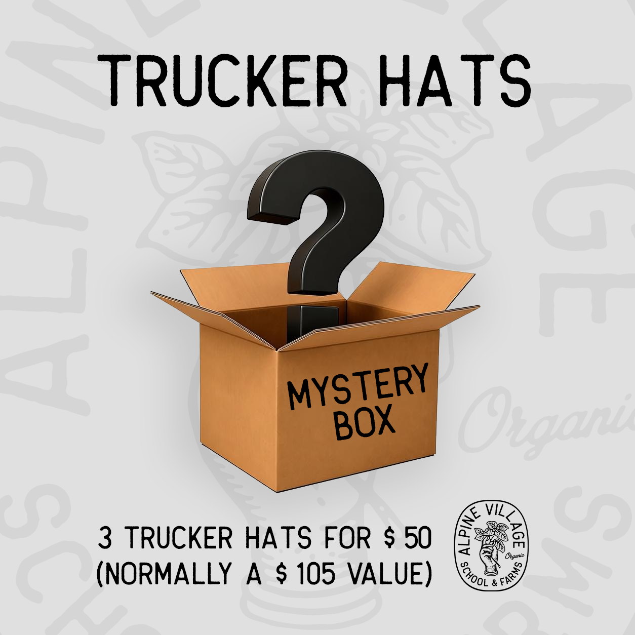 Mystery Box (Three Trucker Hats)
